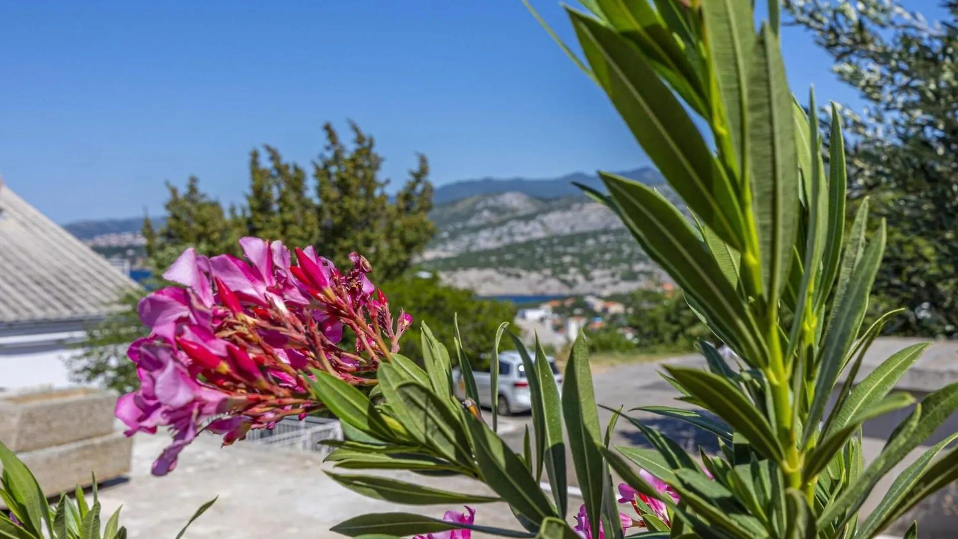Holiday Home With Swimming Pool And Sea View Klenovica